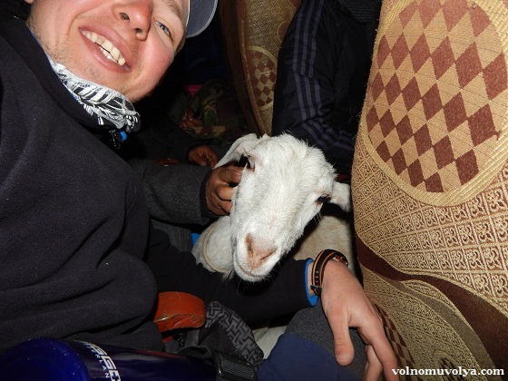 Алексей-Заболотных