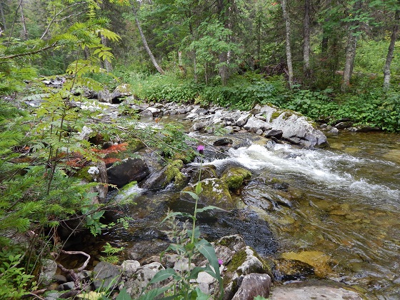 река-Жигалан