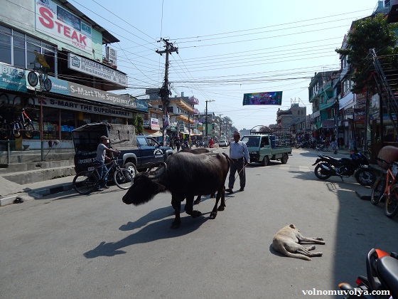 Покхара-Непал