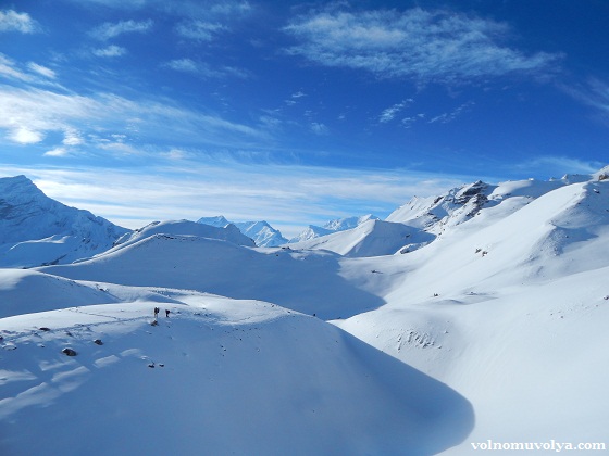 Гималайский-вид