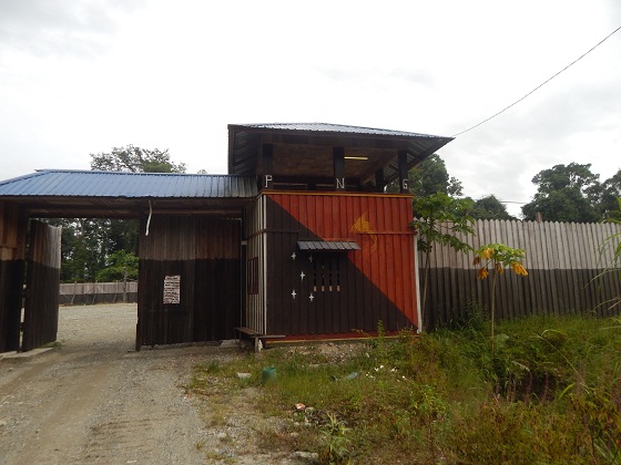 bewani oli palm company