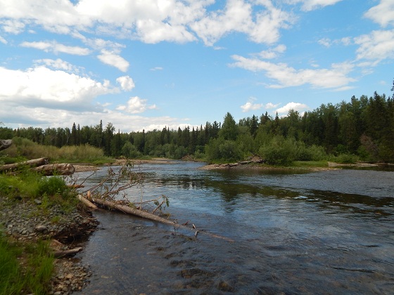 северная-тошемка