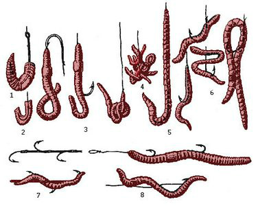 приманка на крючке