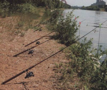 донная удочка