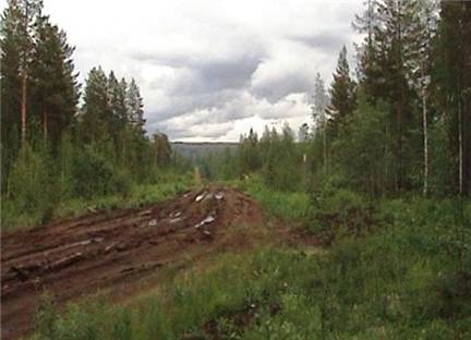 дорога-тунгуска-тайга