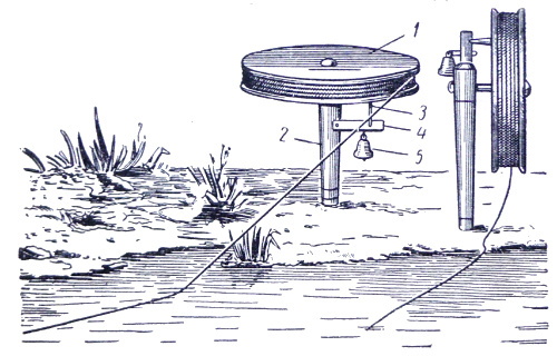 французская-донка