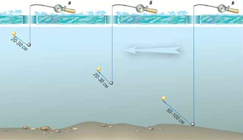 глубина ловли рыбы зимой