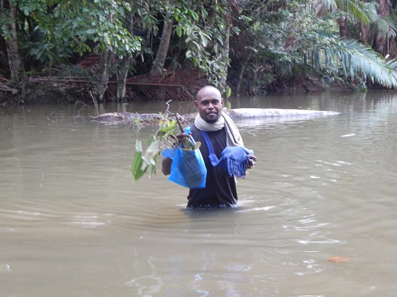 в папуа новой гвинее