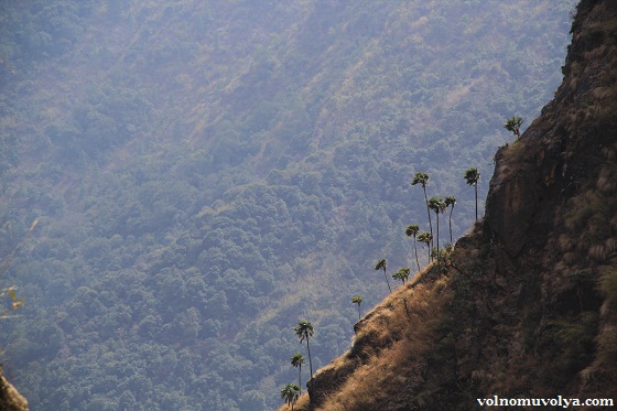 невероятные Гималаи