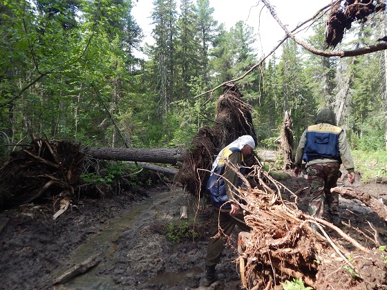 ивдельские спасатели перевал дятлова
