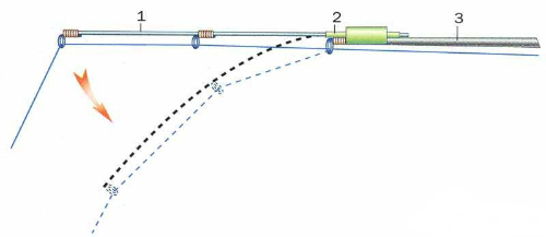 кивок для лета