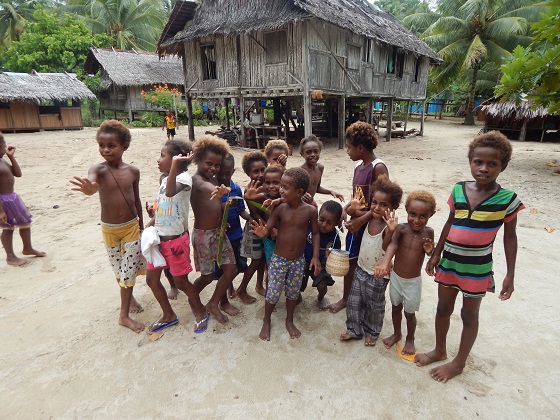 папуа новая гвинея