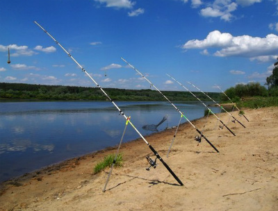 ловля на донку с берега