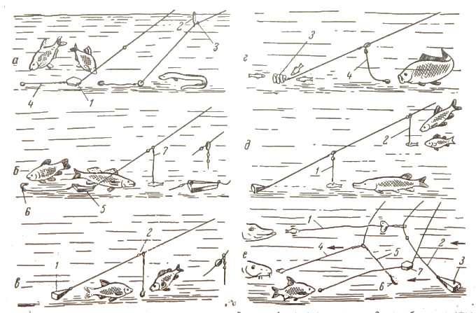 ловля на донную удочку