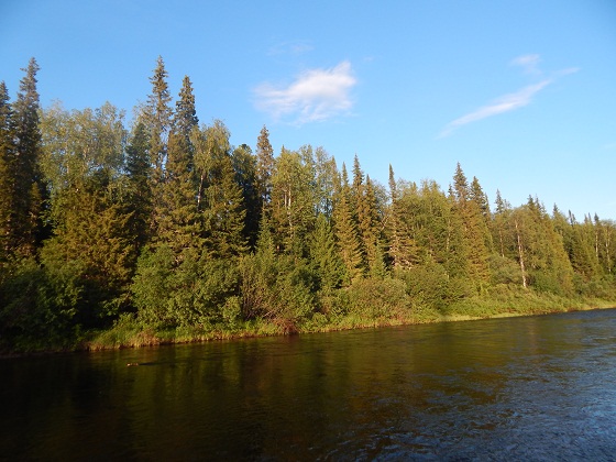 лозьва перевал дятлова