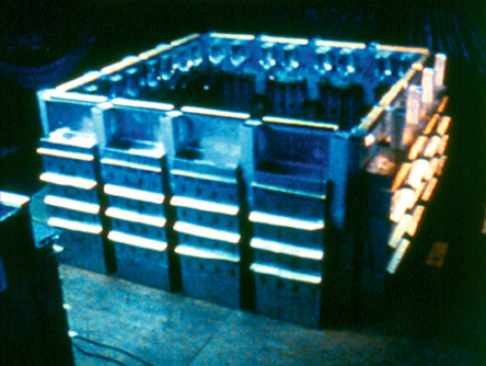 мышиный рай-вселенная 25