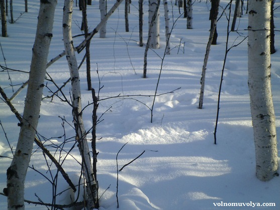 заячья тропа