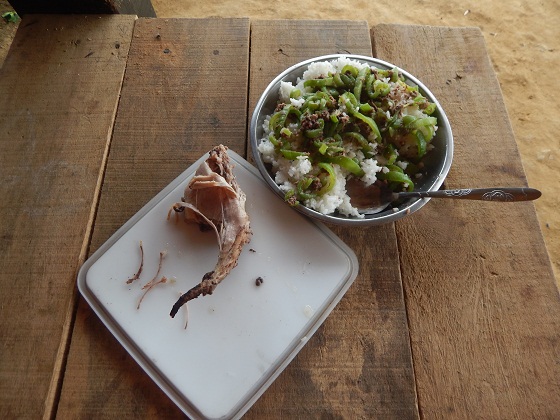 мясо бандикута