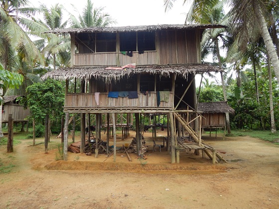 традиционная хижина папуа новая гвинея грин ривер