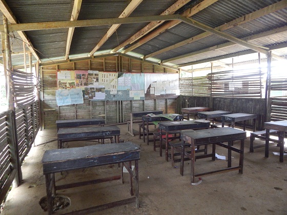 папуа школа