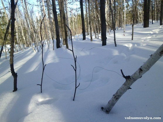 как ставить петли на зайца