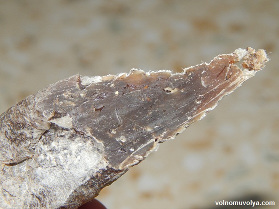 колбаса-на-разрезе