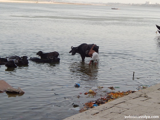 река-ганг-варанаси