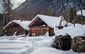 сибирские отшельники