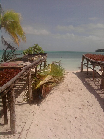 на-острове-находиться