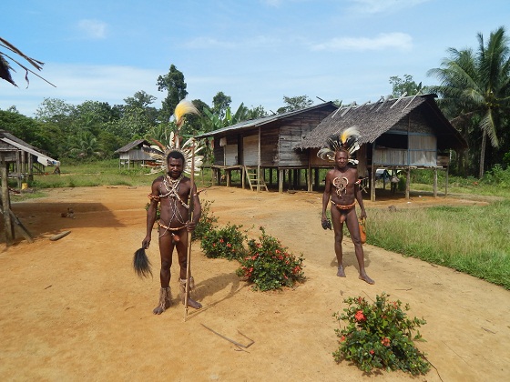 Традиционный костюм папуасов