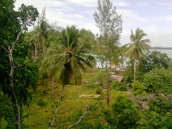 Тропический-остров