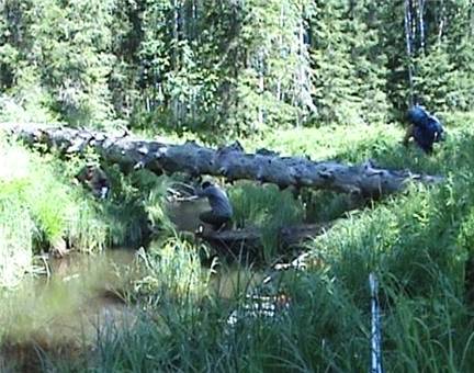 сплав-по-подкаменной-тунгуске