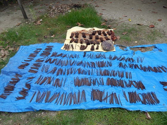 сушка ванили