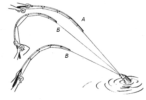 правильное вываживание рыбы летом