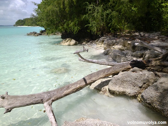 Жить-на-острове